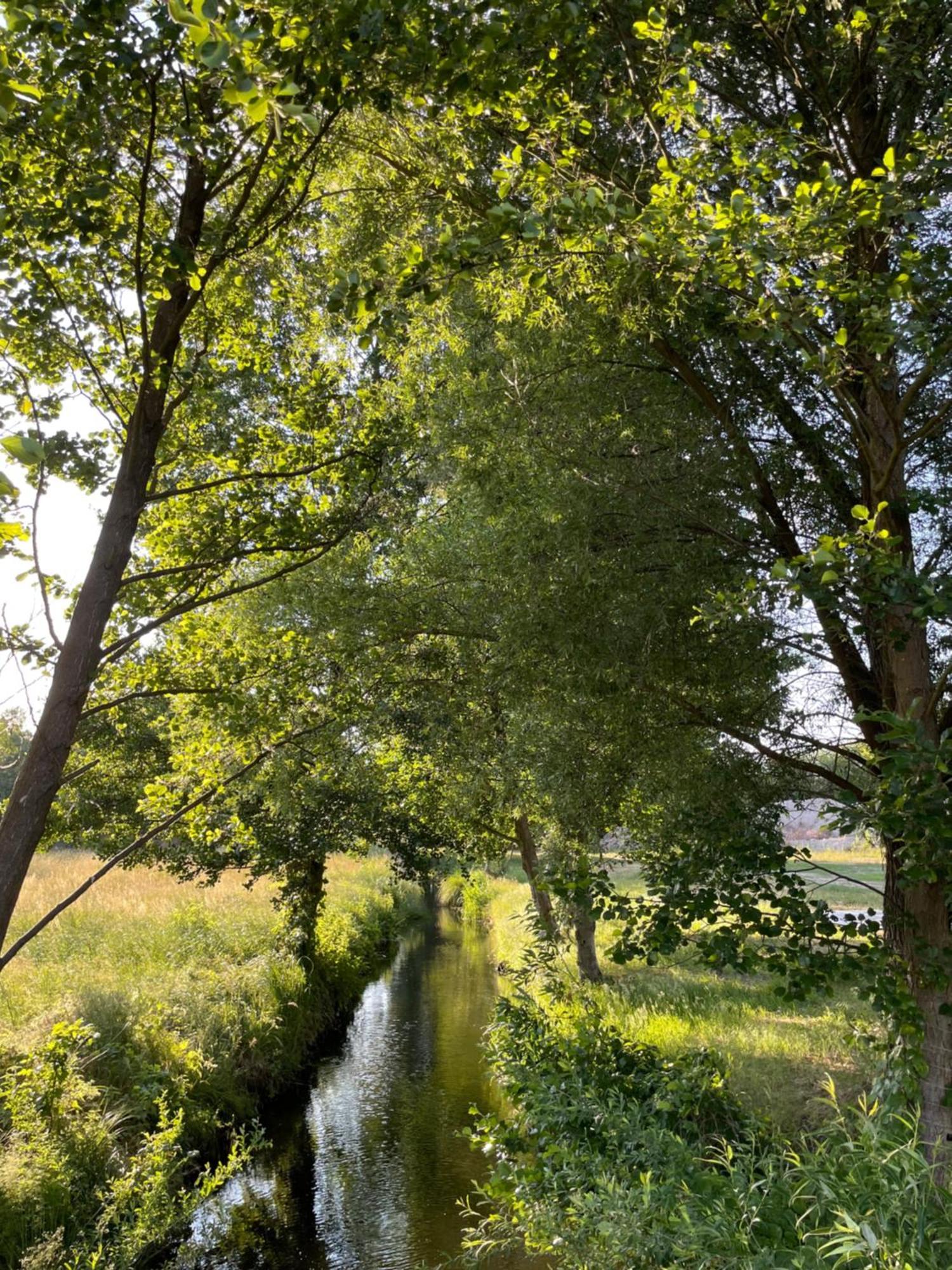 Guesthouse With 3 Apartments, Just Outside Berlin, Near To Tesla Burig 外观 照片