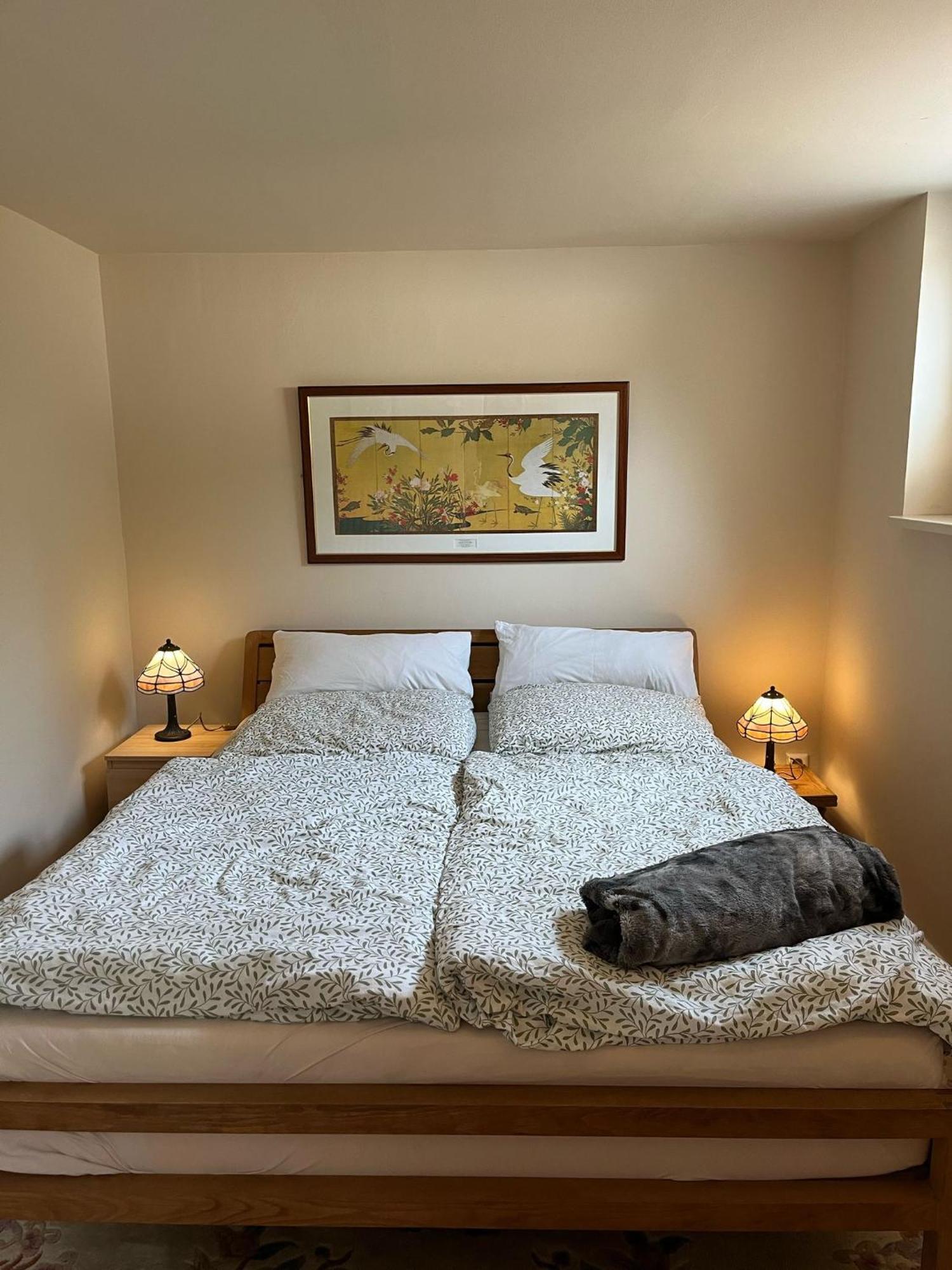 Guesthouse With 3 Apartments, Just Outside Berlin, Near To Tesla Burig 外观 照片